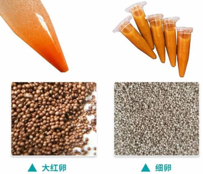 丰年虫卵作为动物源性饲料目前满足准入的国家有哪几个